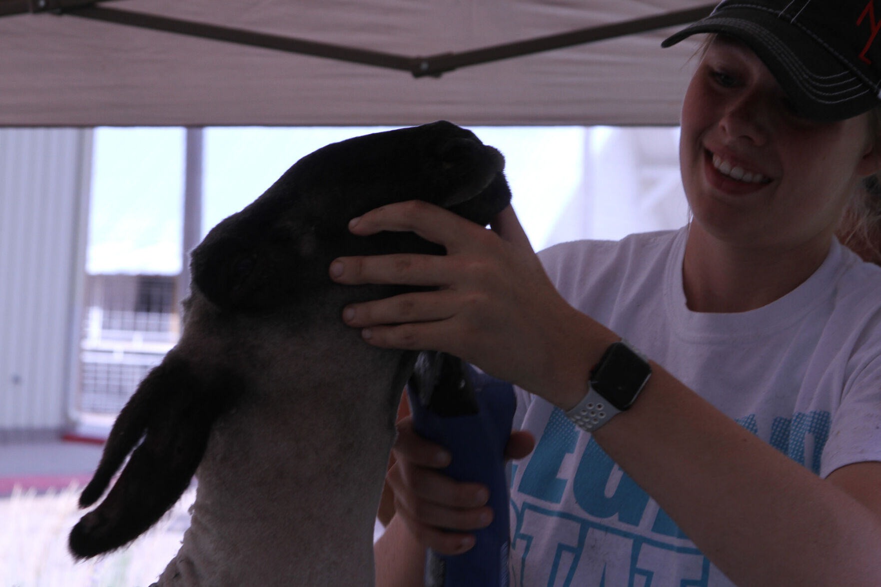 PHOTOS: Scenes from the Scotts Bluff County Fair